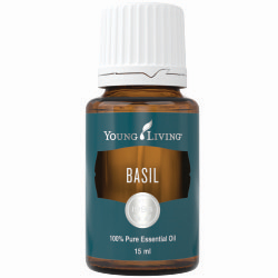 Basil Essential Oil